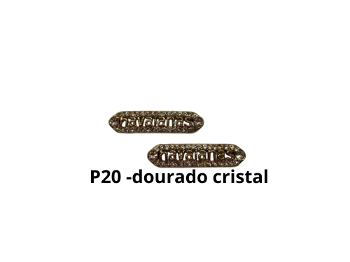 P20