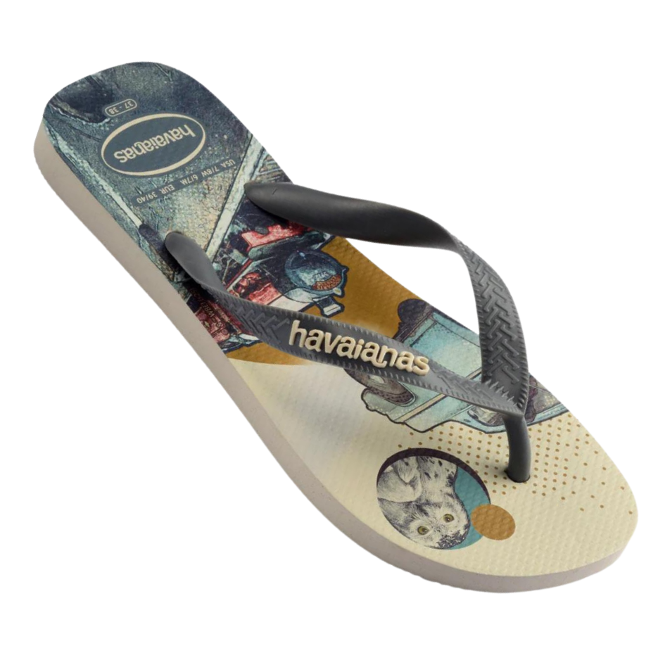 Chinelo Havaianas T. Warner Cla Harry Potter