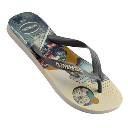 Chinelo Havaianas T. Warner Cla Harry Potter