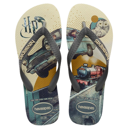 Chinelo Havaianas T. Warner Cla Harry Potter