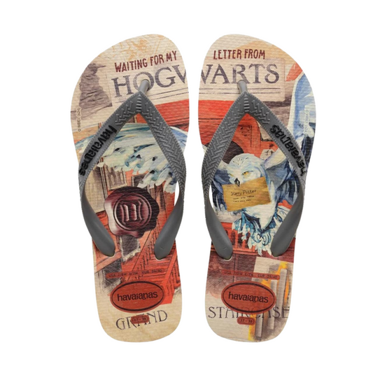 Chinelo Havaianas T. Warner Cla Harry Potter